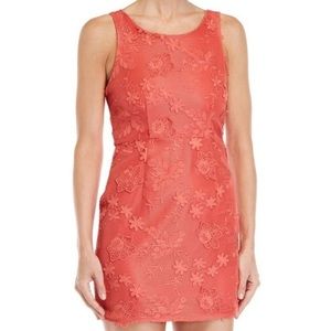 Romeo + Juliet Couture Lace Dress